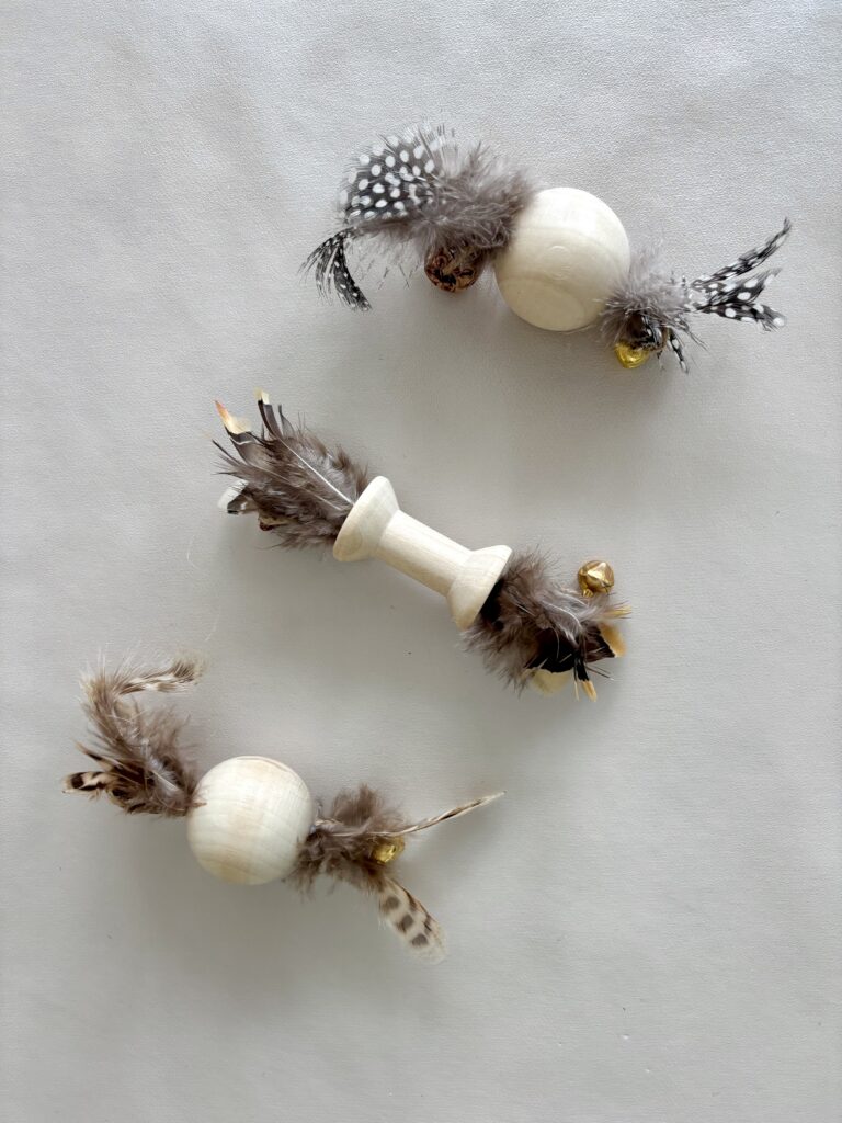 Rolly - La balle à plumes