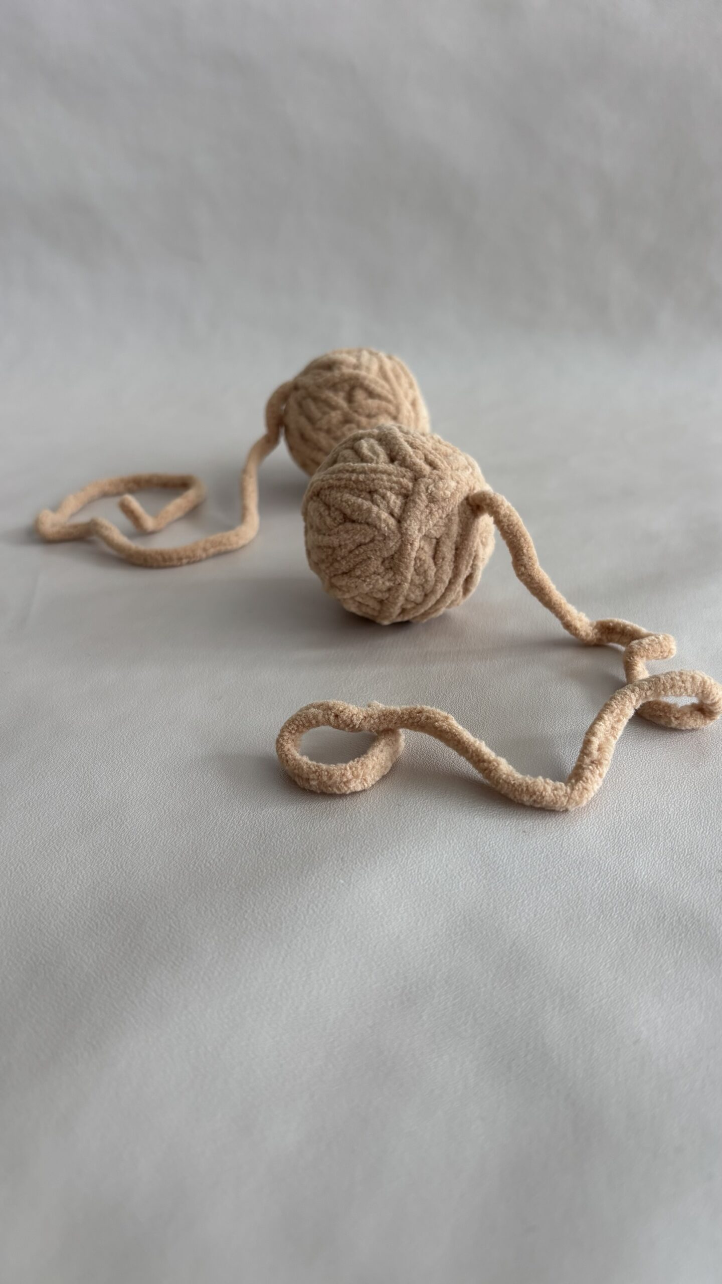 Wooly - La pelote irrésistible – Image 2