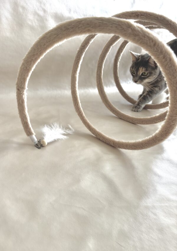 Tournicoti – La spirale joueuse – Image 2