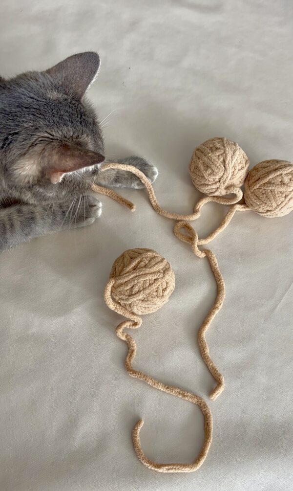 Wooly - La pelote irrésistible – Image 3
